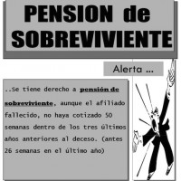 Pension de Sobrevivientes jpg
